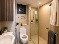 Blk 1C The Pinnacle@Duxton (Bukit Merah), HDB 4 Rooms #589980371